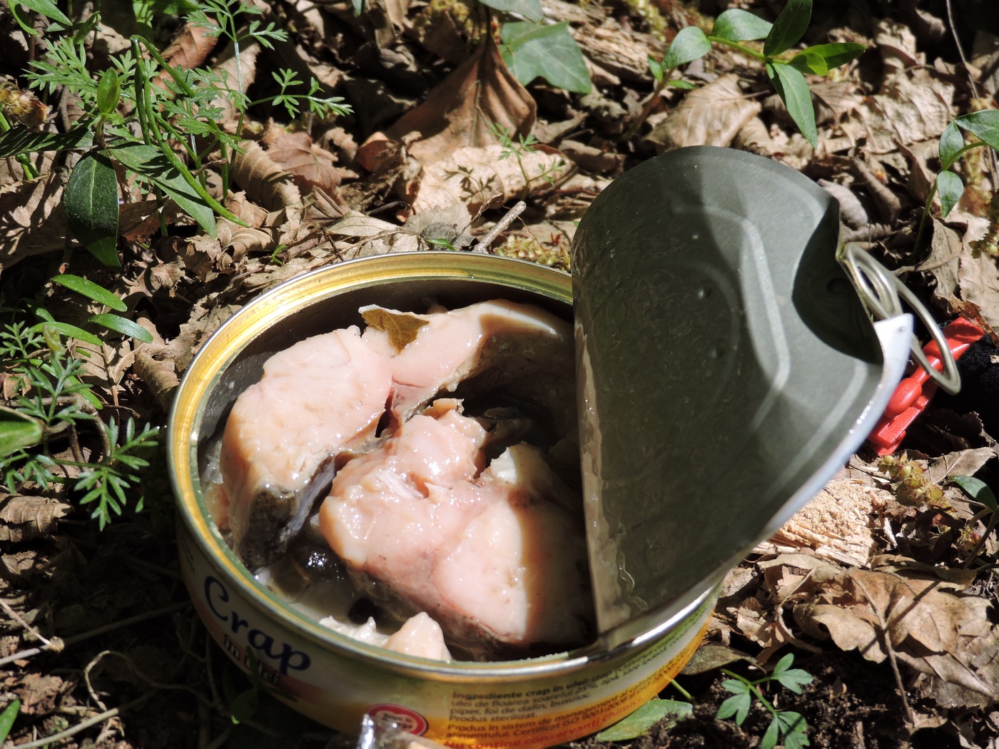 Crap rumenit în ulei